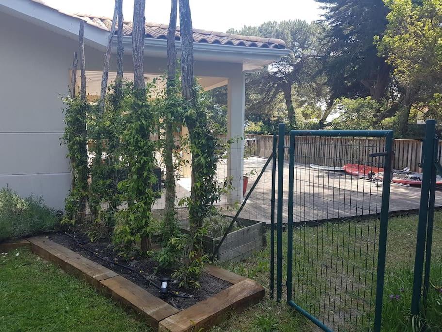 Villa Belle Au Cap Ferret Quartier Mimbeau
